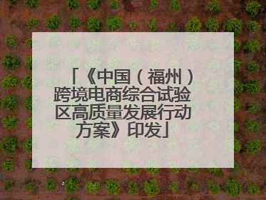 《中国（福州）跨境电商综合试验区高质量发展行动方案》印发