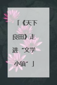 《天下良田》走进“文学小镇”