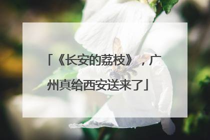 《长安的荔枝》，广州真给西安送来了