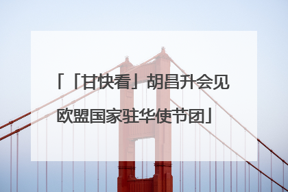 「甘快看」胡昌升会见欧盟国家驻华使节团