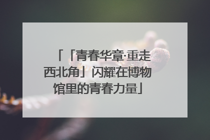 「青春华章·重走西北角」闪耀在博物馆里的青春力量