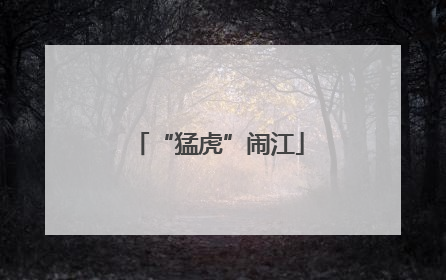 “猛虎”闹江