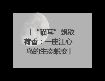 “猫耳”飘散荷香：一座江心岛的生态蜕变