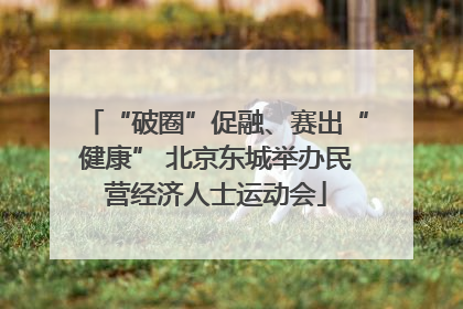 “破圈”促融、赛出“健康” 北京东城举办民营经济人士运动会