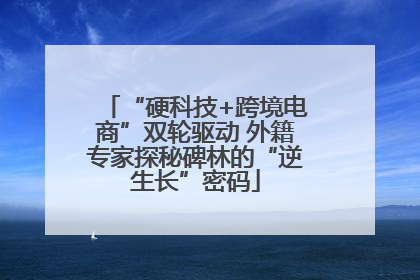 “硬科技+跨境电商”双轮驱动 外籍专家探秘碑林的“逆生长”密码