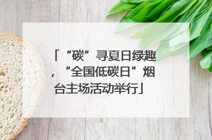 “碳”寻夏日绿趣，“全国低碳日”烟台主场活动举行