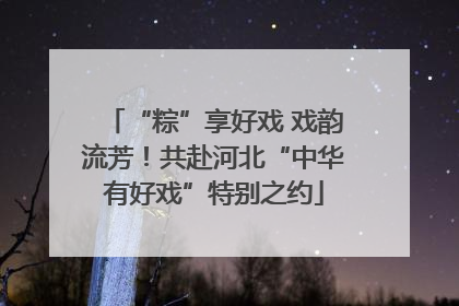 “粽”享好戏 戏韵流芳！共赴河北“中华有好戏”特别之约