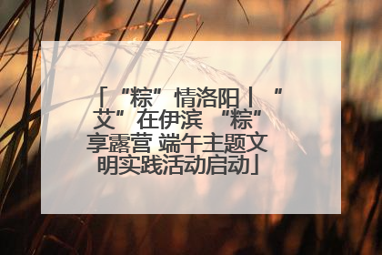 “粽”情洛阳丨“艾”在伊滨 “粽”享露营 端午主题文明实践活动启动