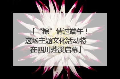 “粽”情过端午！这场主题文化活动将在四川蓬溪启幕