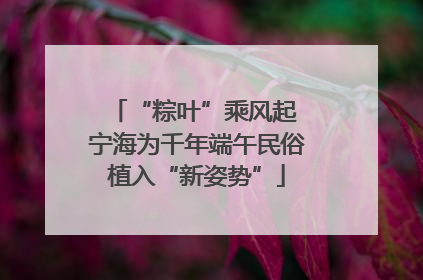 “粽叶”乘风起 宁海为千年端午民俗植入“新姿势”