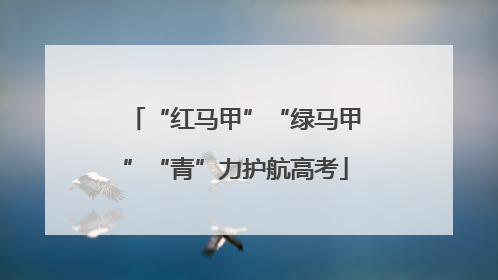 “红马甲”“绿马甲”“青”力护航高考
