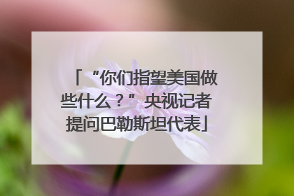 “你们指望美国做些什么？”央视记者提问巴勒斯坦代表