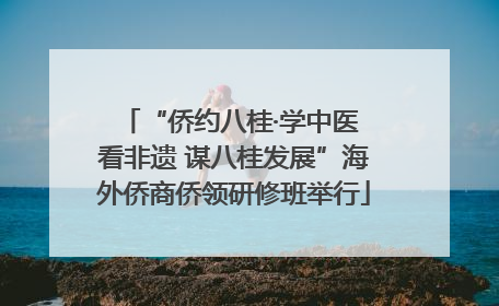“侨约八桂·学中医 看非遗 谋八桂发展”海外侨商侨领研修班举行