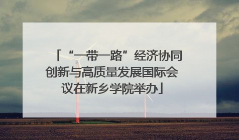 “一带一路”经济协同创新与高质量发展国际会议在新乡学院举办