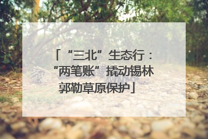 “三北”生态行：“两笔账”撬动锡林郭勒草原保护