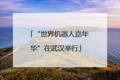 “世界机器人嘉年华”在武汉举行