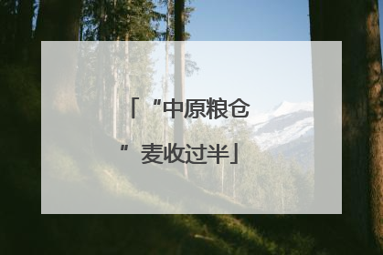 “中原粮仓”麦收过半