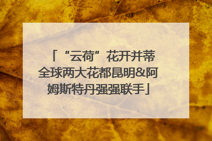 “云荷”花开并蒂 全球两大花都昆明&阿姆斯特丹强强联手