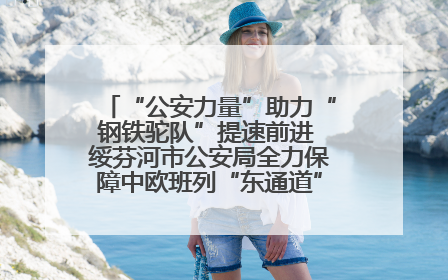 “公安力量”助力“钢铁驼队”提速前进 绥芬河市公安局全力保障中欧班列“东通道”绥芬河隧道贯通
