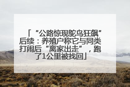 “公路惊现鸵鸟狂飙”后续：养殖户称它与同类打闹后“离家出走”，跑了1公里被找回