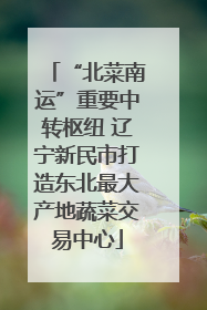 “北菜南运”重要中转枢纽 辽宁新民市打造东北最大产地蔬菜交易中心