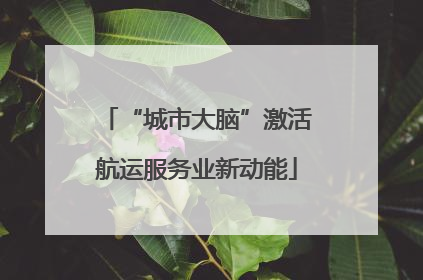 “城市大脑”激活航运服务业新动能