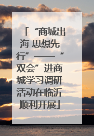 “商城出海 思想先行”——“双会”进商城学习调研活动在临沂顺利开展