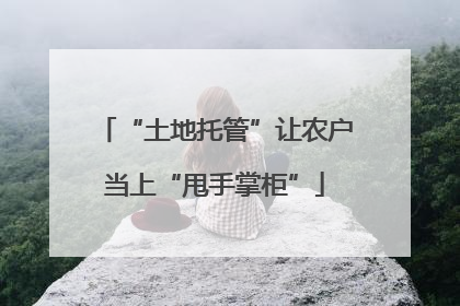“土地托管”让农户当上“甩手掌柜”