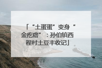 “土蛋蛋”变身“金疙瘩”：孙伯镇西程村土豆丰收记