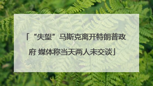 “失望”马斯克离开特朗普政府 媒体称当天两人未交谈