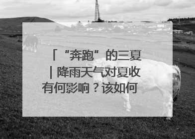 “奔跑”的三夏｜降雨天气对夏收有何影响？该如何防范？一文了解