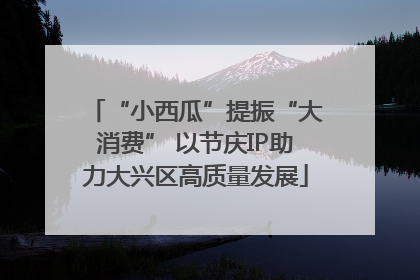 “小西瓜”提振“大消费” 以节庆IP助力大兴区高质量发展
