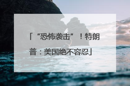 “恐怖袭击”！特朗普：美国绝不容忍