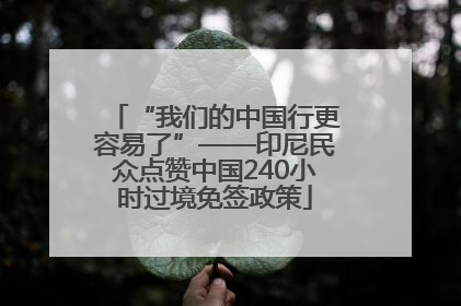 “我们的中国行更容易了”——印尼民众点赞中国240小时过境免签政策