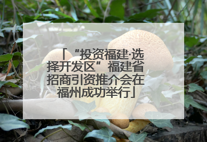 “投资福建·选择开发区”福建省招商引资推介会在福州成功举行