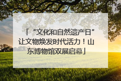 “文化和自然遗产日”让文物焕发时代活力！山东博物馆双展启幕