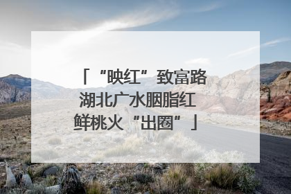 “映红”致富路 湖北广水胭脂红鲜桃火“出圈”