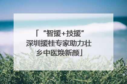 “智援+技援” 深圳援桂专家助力壮乡中医焕新颜