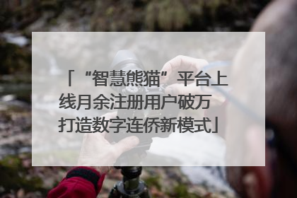 “智慧熊猫”平台上线月余注册用户破万 打造数字连侨新模式
