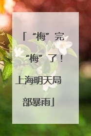 “梅”完“梅”了！上海明天局部暴雨