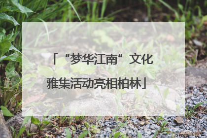 “梦华江南”文化雅集活动亮相柏林