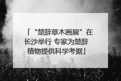 “楚辞草木画展”在长沙举行 专家为楚辞植物提供科学考据