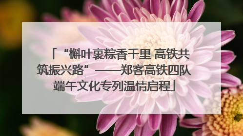 “槲叶裹粽香千里 高铁共筑振兴路”——郑客高铁四队端午文化专列温情启程
