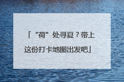 “荷”处寻夏？带上这份打卡地图出发吧
