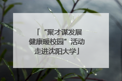 “聚才谋发展 健康暖校园”活动走进沈阳大学