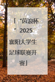 “茵浪杯”2025襄阳大学生足球联赛开赛