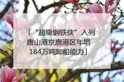 “超级钢铁侠”入列 唐山港京唐港区年增184万吨卸船能力
