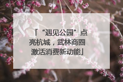 “遇见公园”点亮杭城，武林商圈激活消费新动能