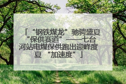 “钢铁煤龙”驰骋盛夏 “保供赛道”——七台河站电煤保供跑出迎峰度夏 “加速度”