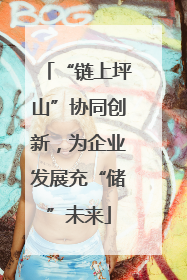 “链上坪山”协同创新，为企业发展充“储”未来
